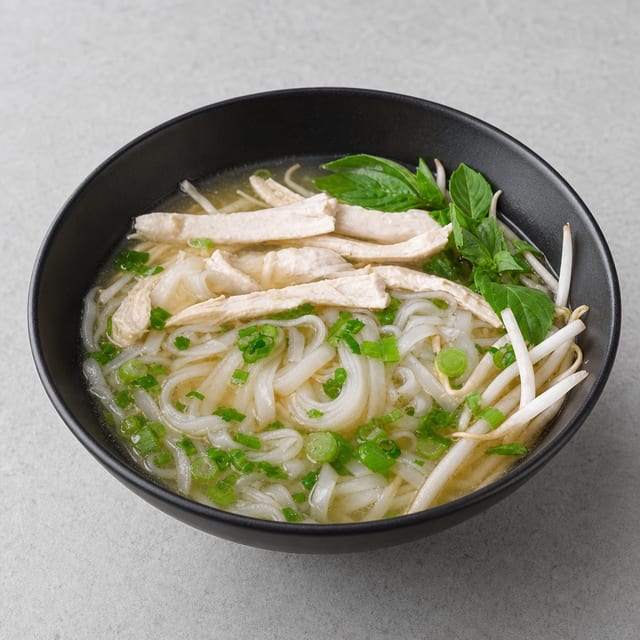 P12. White Meat Chicken Noodle Soup (GA).